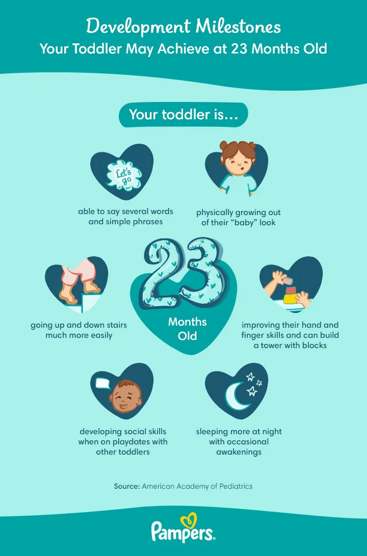 Understanding Developmental Milestones of a 23MonthOld Child Flat Glass